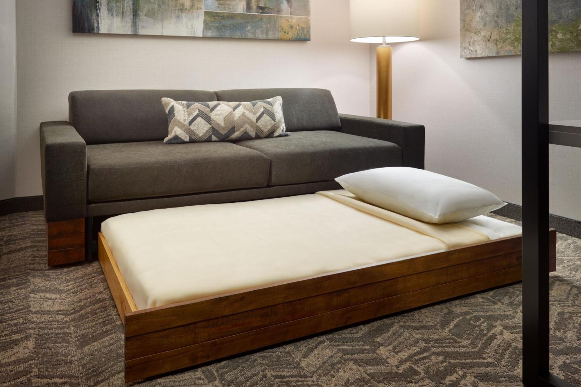 Springhill Suites By Marriott Arlington Tn Екстер'єр фото